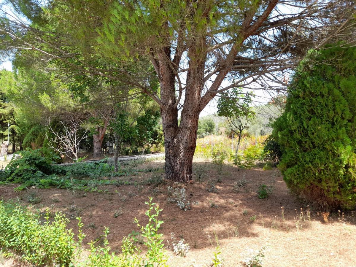 Lemontree Apartments Kassiopi Eksteriør billede